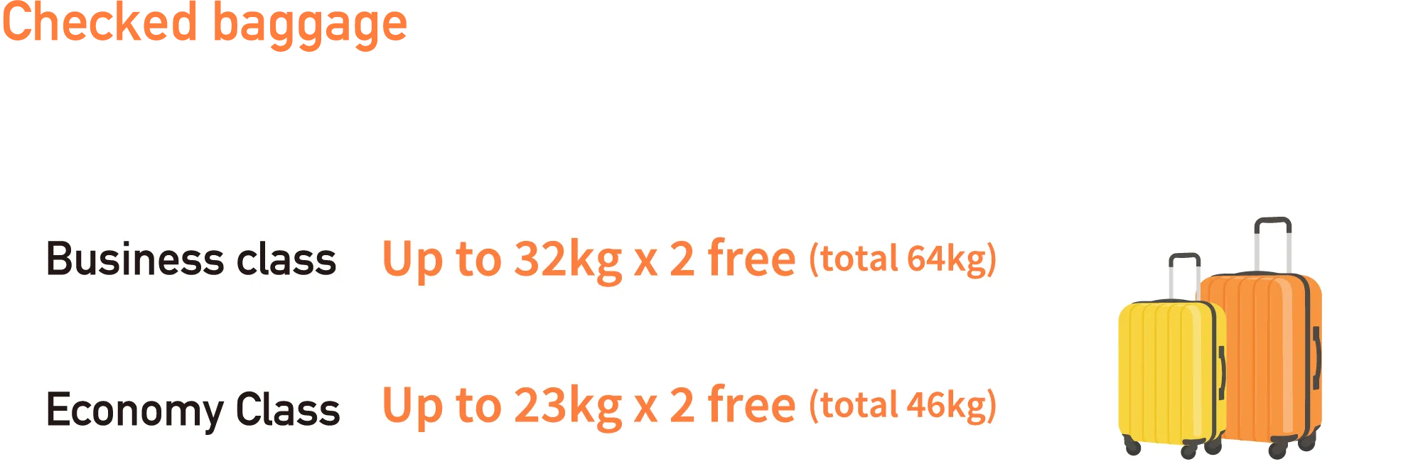 Checked baggage